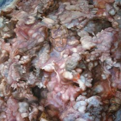 The Subliminal Pograddy Disection