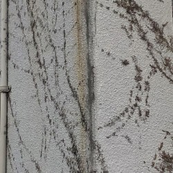 One Misunderstanding