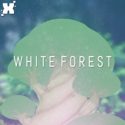 White Forest (From "Pokémon Black and White")