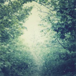 Somewhere In Between