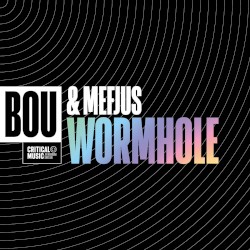 Wormhole