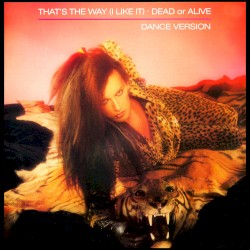 That’s the Way (I Like It)