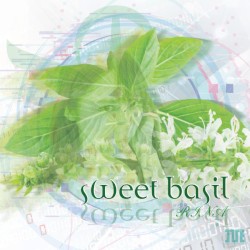 sweet basil