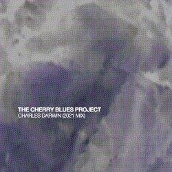 Charles Darwin (2021 Mix)
