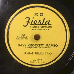 Davy Crockett Mambo / The Crazy Pancho (Medley)