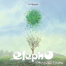 Transition