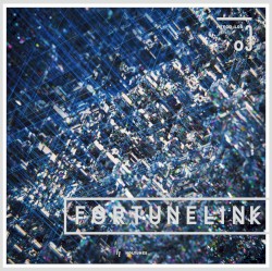 FORTUNE LINK 03