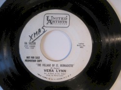 The Village of St. Bernadette / Santa Maria