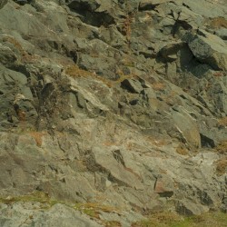 Medea (music for a video)