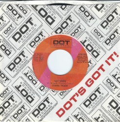 Say When / Old Southern Cotton Town