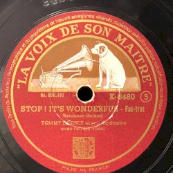Stop! It's Wonderful / In the Mood