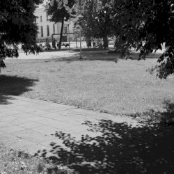 Talia b/w Taxying