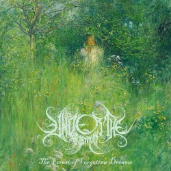 The Forest of Forgotten Dreams