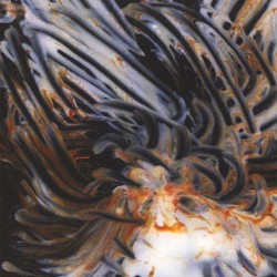 Le Lisse et le strié