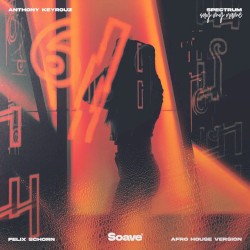 Spectrum (Say My Name)