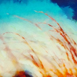 Незамутненная чистота