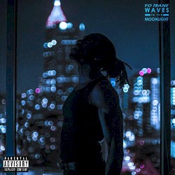 Waves in the Moonlight