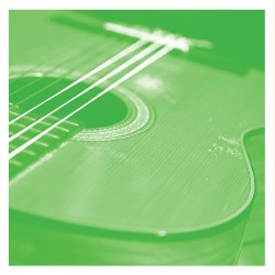 VDSQ Solo Acoustic Vol.13