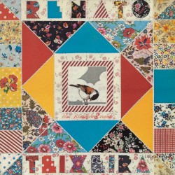 Um brasileiro errante