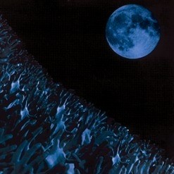 Hysteria