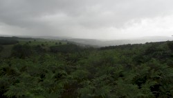 meditations disintegrations