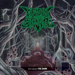 From Beyond the Dark