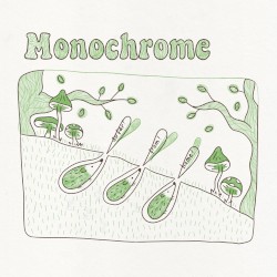 Monochrome