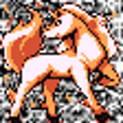 #078 ~ Rapidash