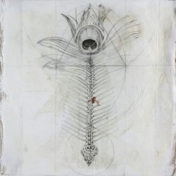 Inner8