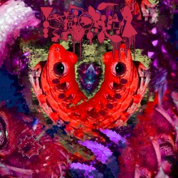 Sightings In January