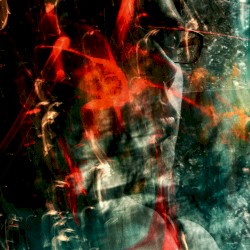 In These Numbered Days