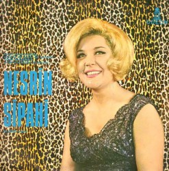 Yusuf Nalkesen'in Eserleri