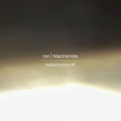 indistinction #1