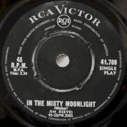 In the Misty Moonlight