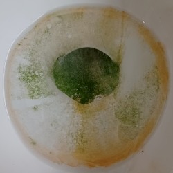 Live At Vadim's - October 24, 2004