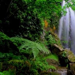 Connection With Nature