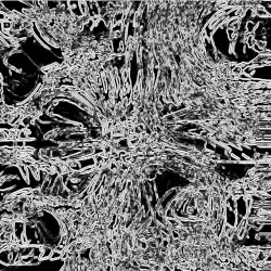 Slum Jargon
