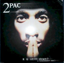 R U Still Down? [Remember Me]