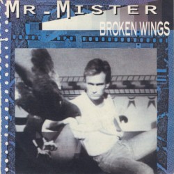 Broken Wings