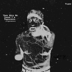 They Hate Me Cause I'm Vaporwave (Viperwave)