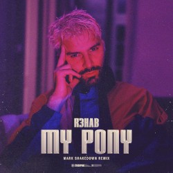 My Pony (Mark Shakedown remix)