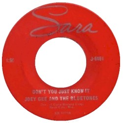 Don't You Just Know It / Little Searcher