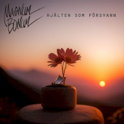 Hjälten som försvann