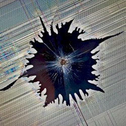 404