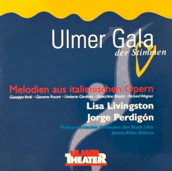 Ulmer Gala der Stimmen: Melodien aus italienischen Opern