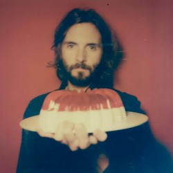 My Other Car Is a Tiger