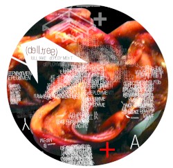 Full Fake Deployment