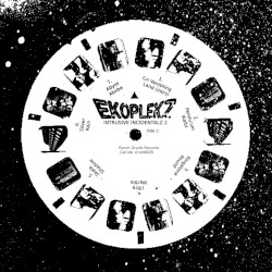 Intrusive Incidentalz Vol 2