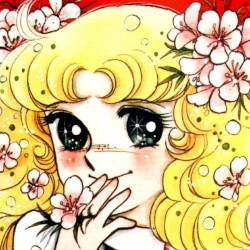 キャンディス・ホワイト・アードレー