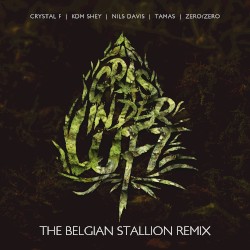 Gras in der Luft (The Belgian Stallion Remix)